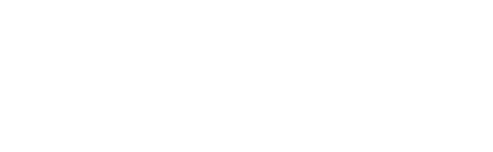 Logo-Leviy-Zvoove-White